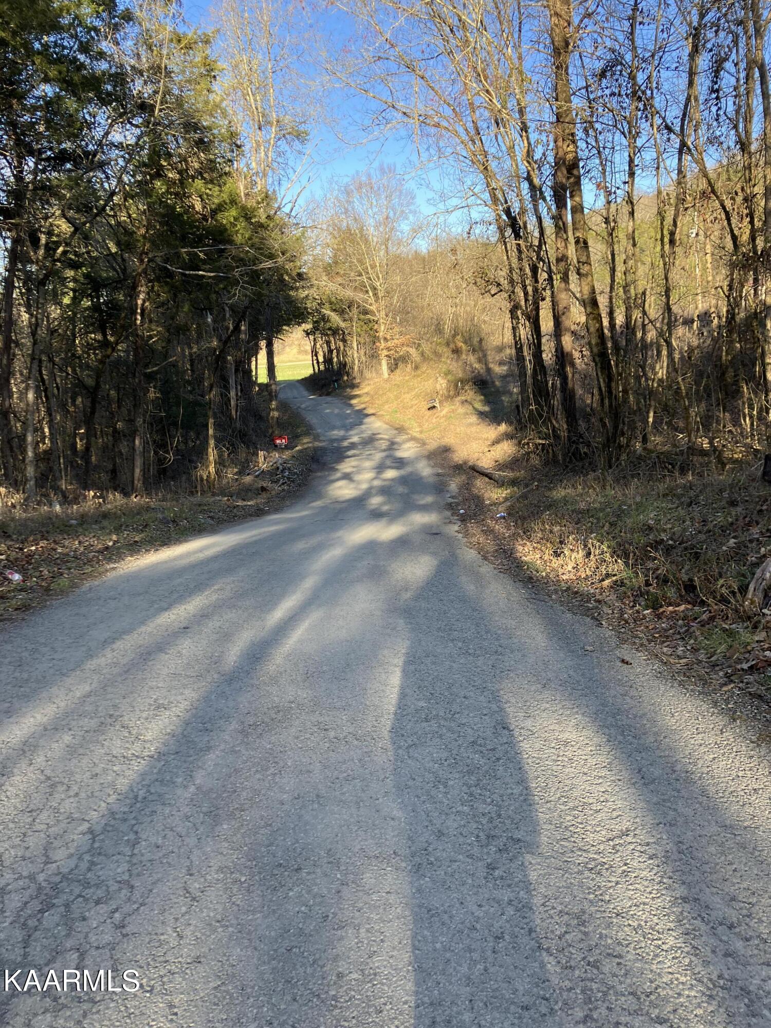 Pawpaw Road Sneedville, TN 37869 - Photo 11 of 16 D756C74E-0568-4D9D-AE47-0B50C32D7EA6