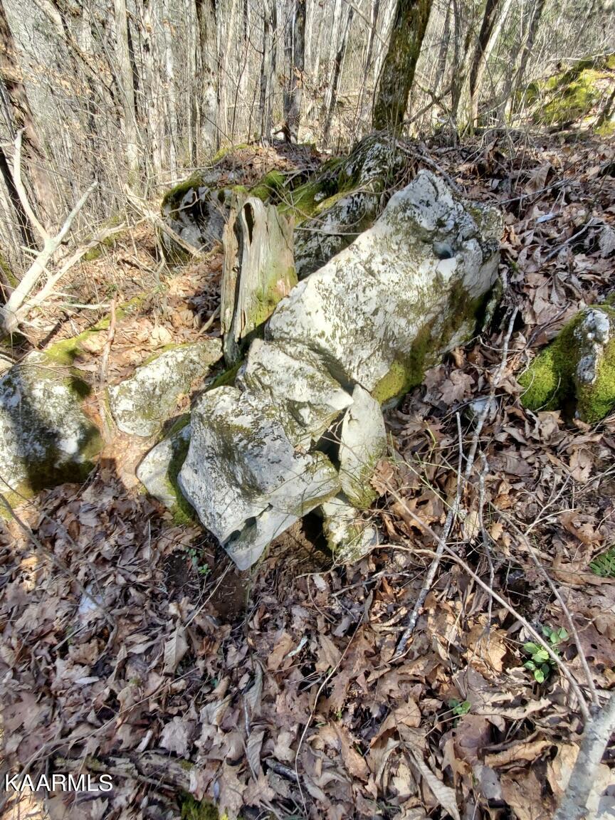 Pawpaw Road Sneedville, TN 37869 - Photo 12 of 16 60219922-5E83-45F7-82CB-0CD91D2D4DE1