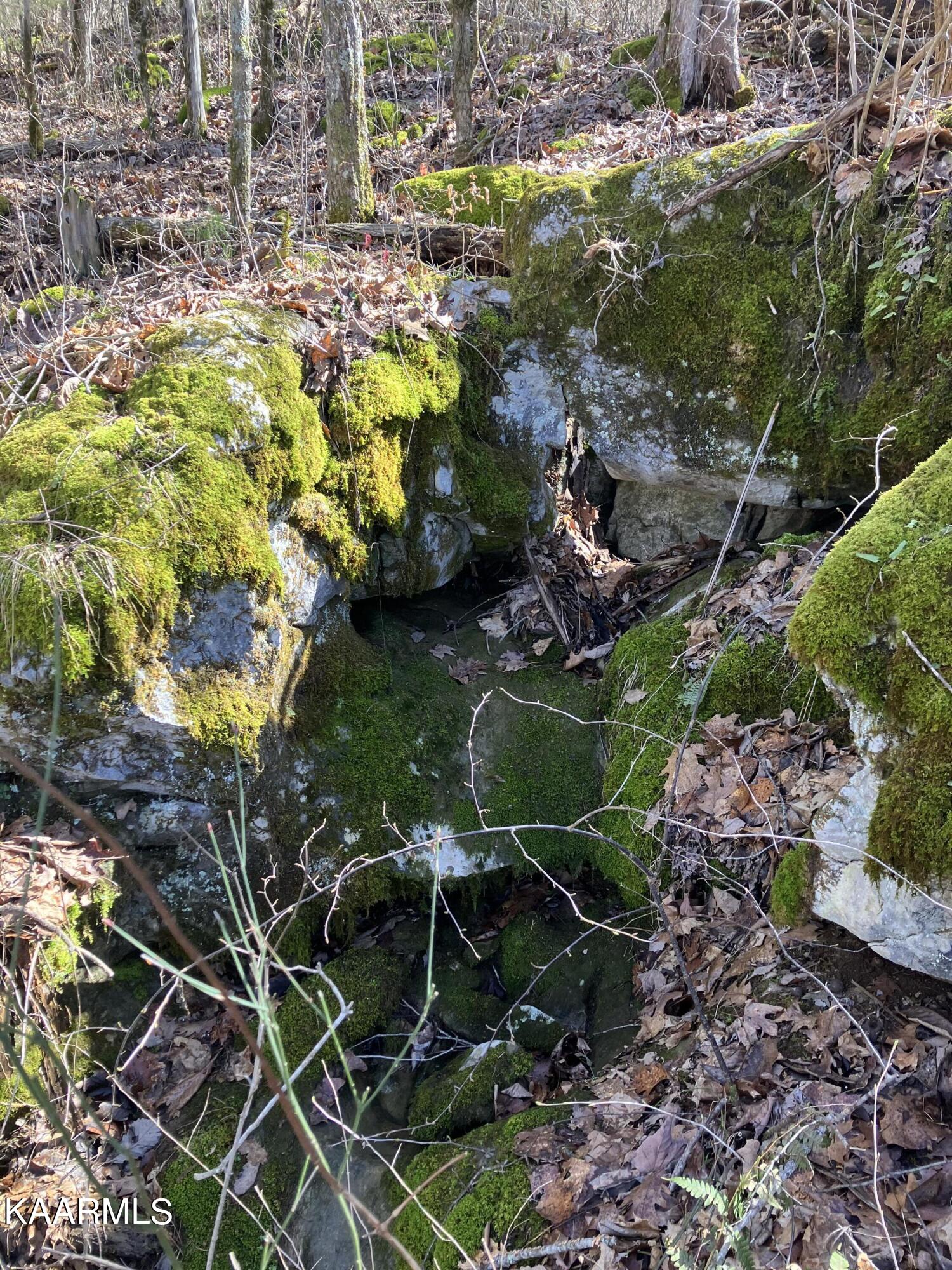 Pawpaw Road Sneedville, TN 37869 - Photo 13 of 16 A6365B4C-9C91-42AF-9FB6-405D10628064