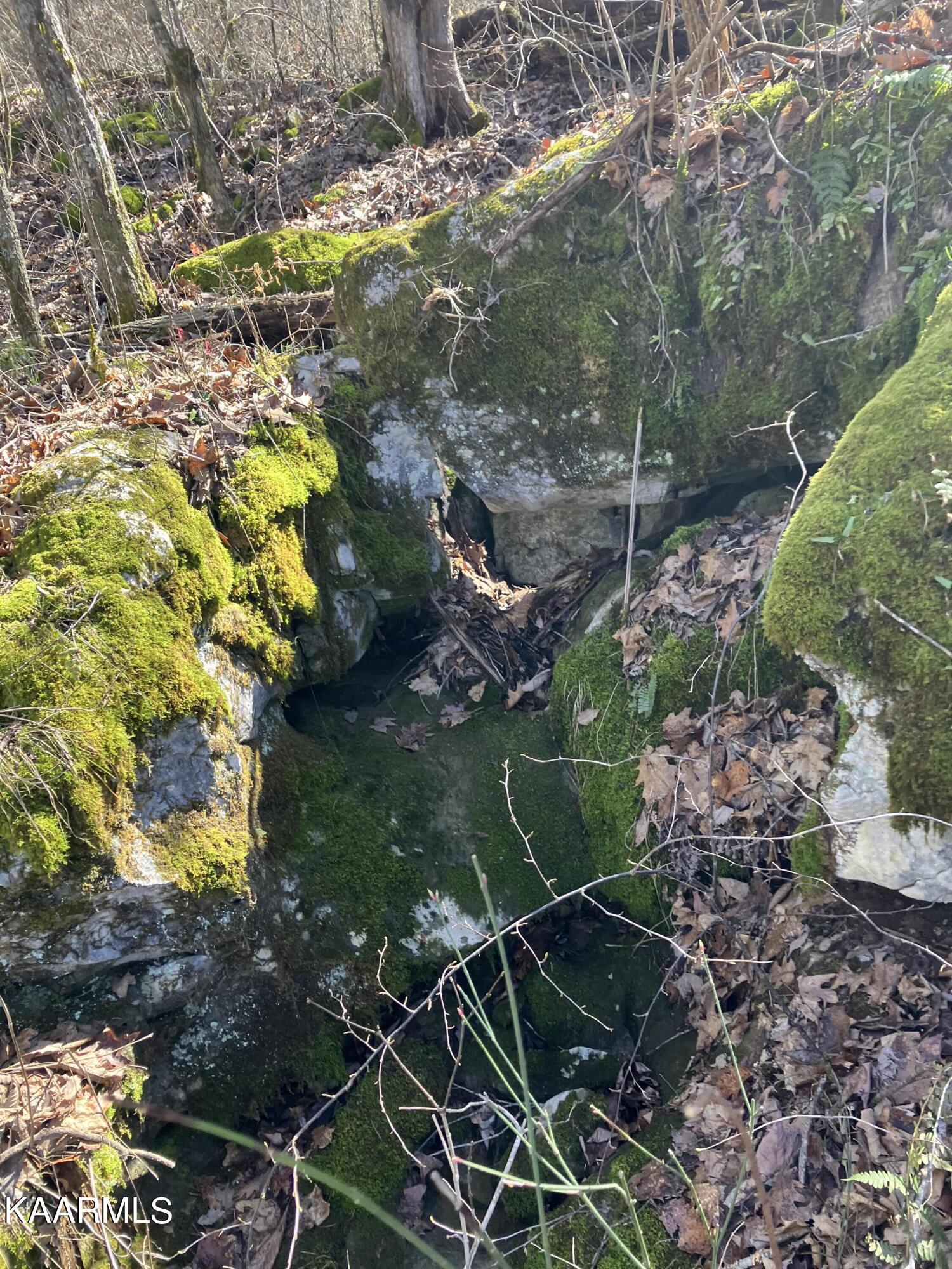 Pawpaw Road Sneedville, TN 37869 - Photo 14 of 16 2549D9AC-1512-464A-B748-2974E7847491