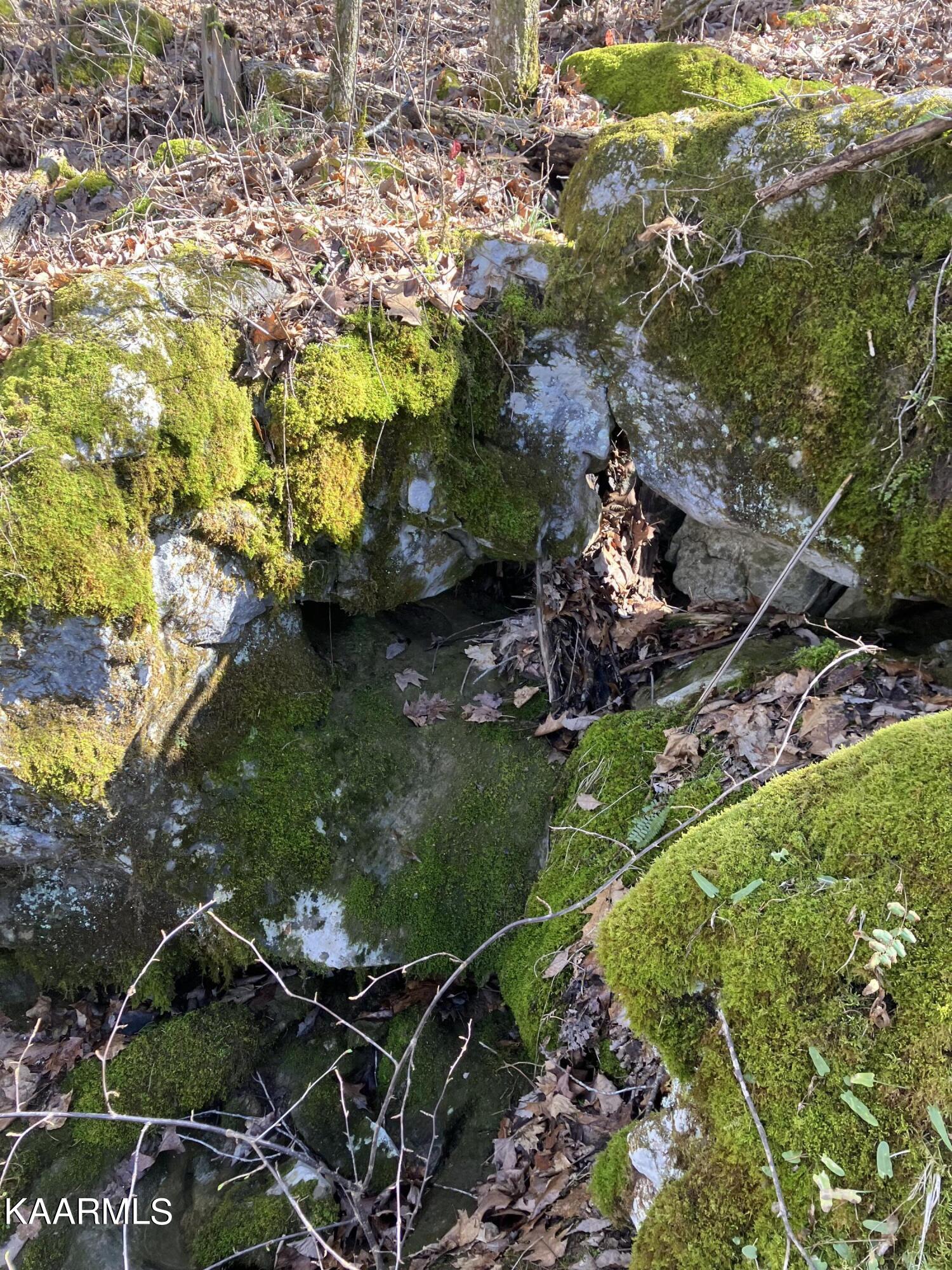 Pawpaw Road Sneedville, TN 37869 - Photo 15 of 16 9CFC3FCF-DD13-40C8-8126-E0F96CAE6F24