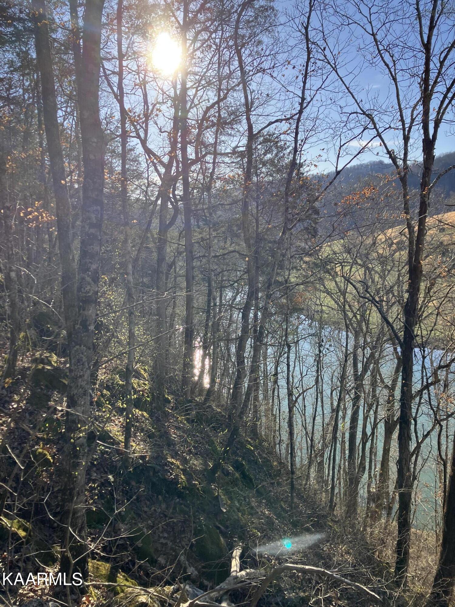 Pawpaw Road Sneedville, TN 37869 - Photo 4 of 16 EFFD1D29-0201-41E5-ACF2-58AC1526E05A