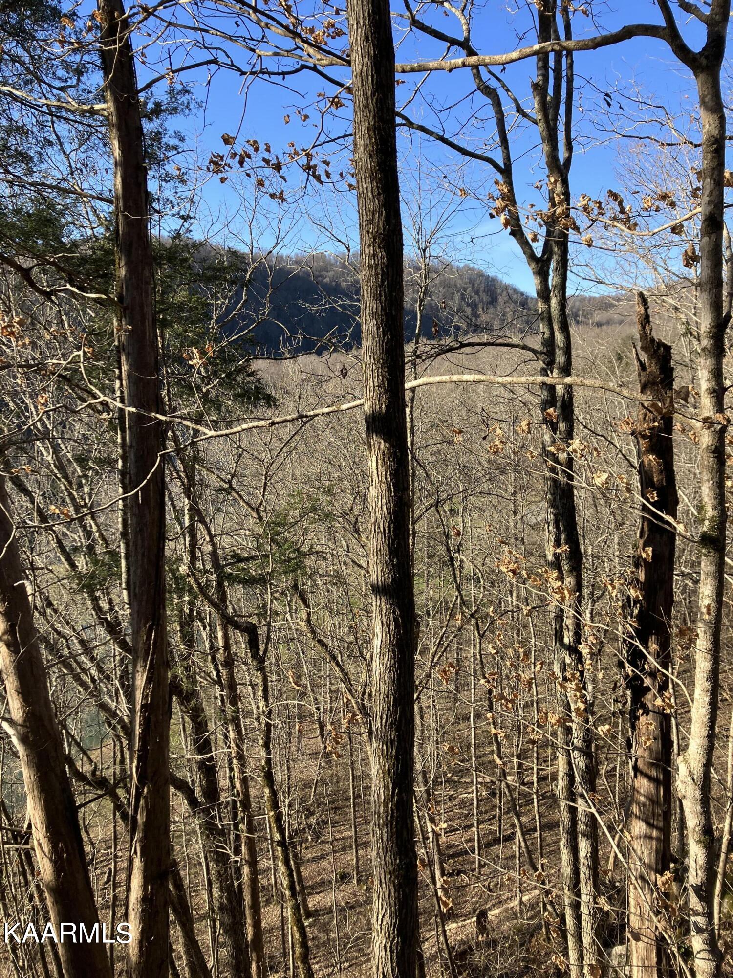 Pawpaw Road Sneedville, TN 37869 - Photo 6 of 16 392838B2-F664-469C-BCAC-9980FBE77920