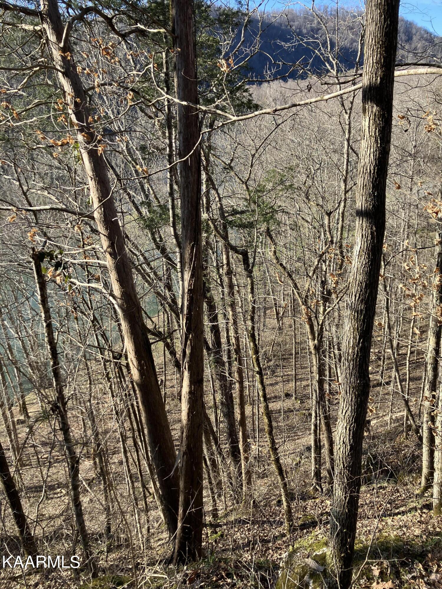 Pawpaw Road Sneedville, TN 37869 - Photo 7 of 16 6A720838-21BD-4CD1-807A-5033915802F3