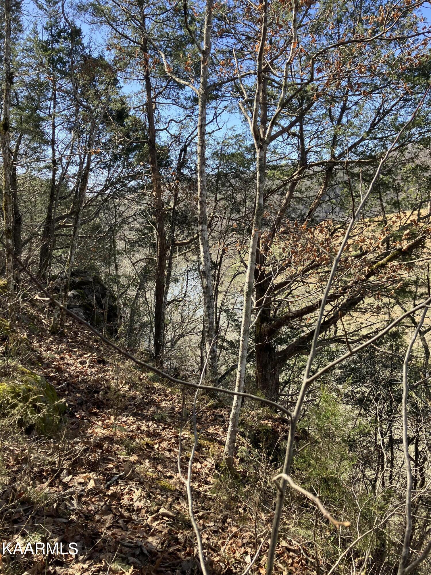 Pawpaw Road Sneedville, TN 37869 - Photo 8 of 16 BFB4C1FE-82EA-42EA-ABE6-C9E15FF9382F