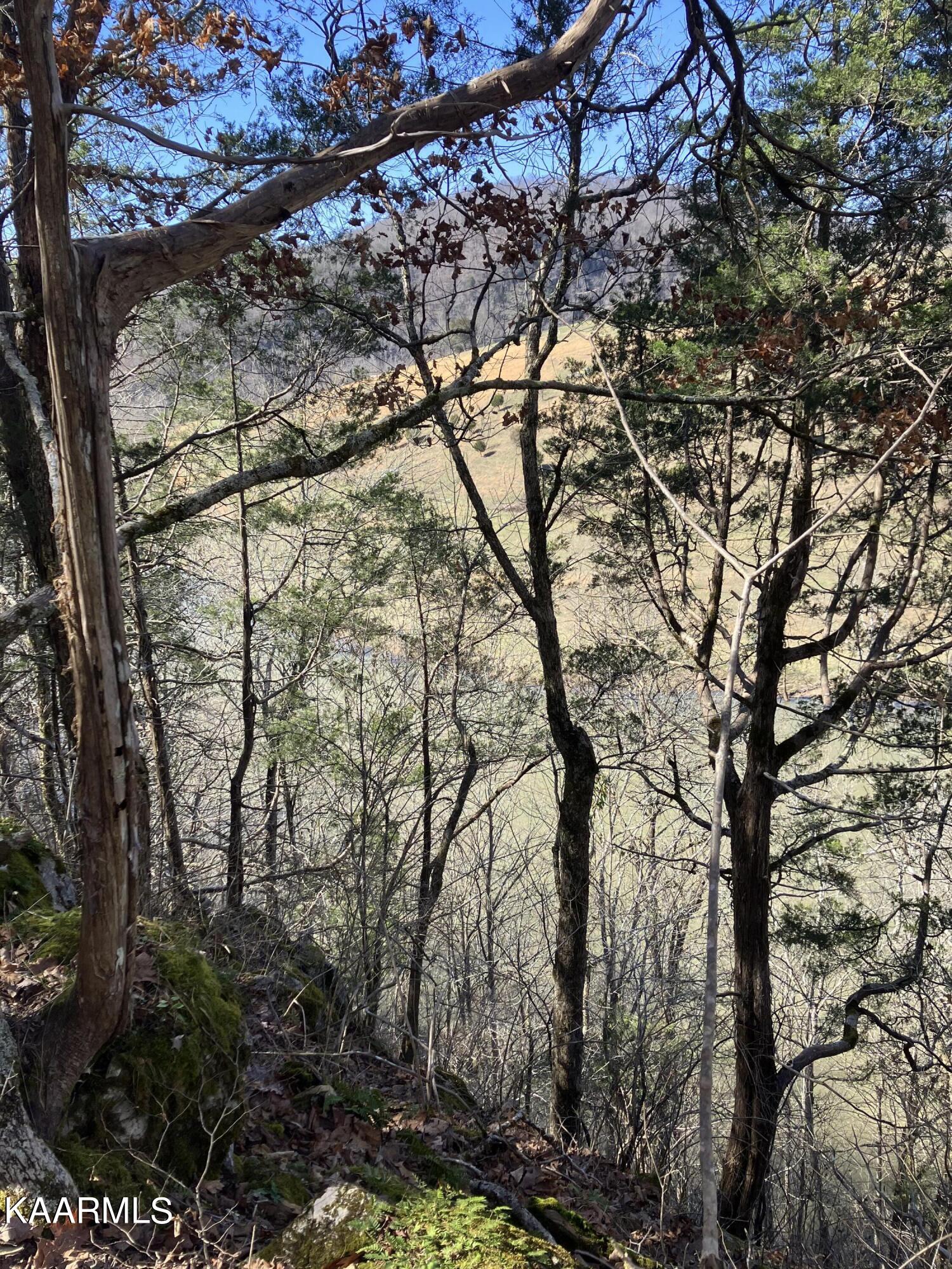 Pawpaw Road Sneedville, TN 37869 - Photo 9 of 16 2C855D03-415C-4F4F-BE24-161079F8873F