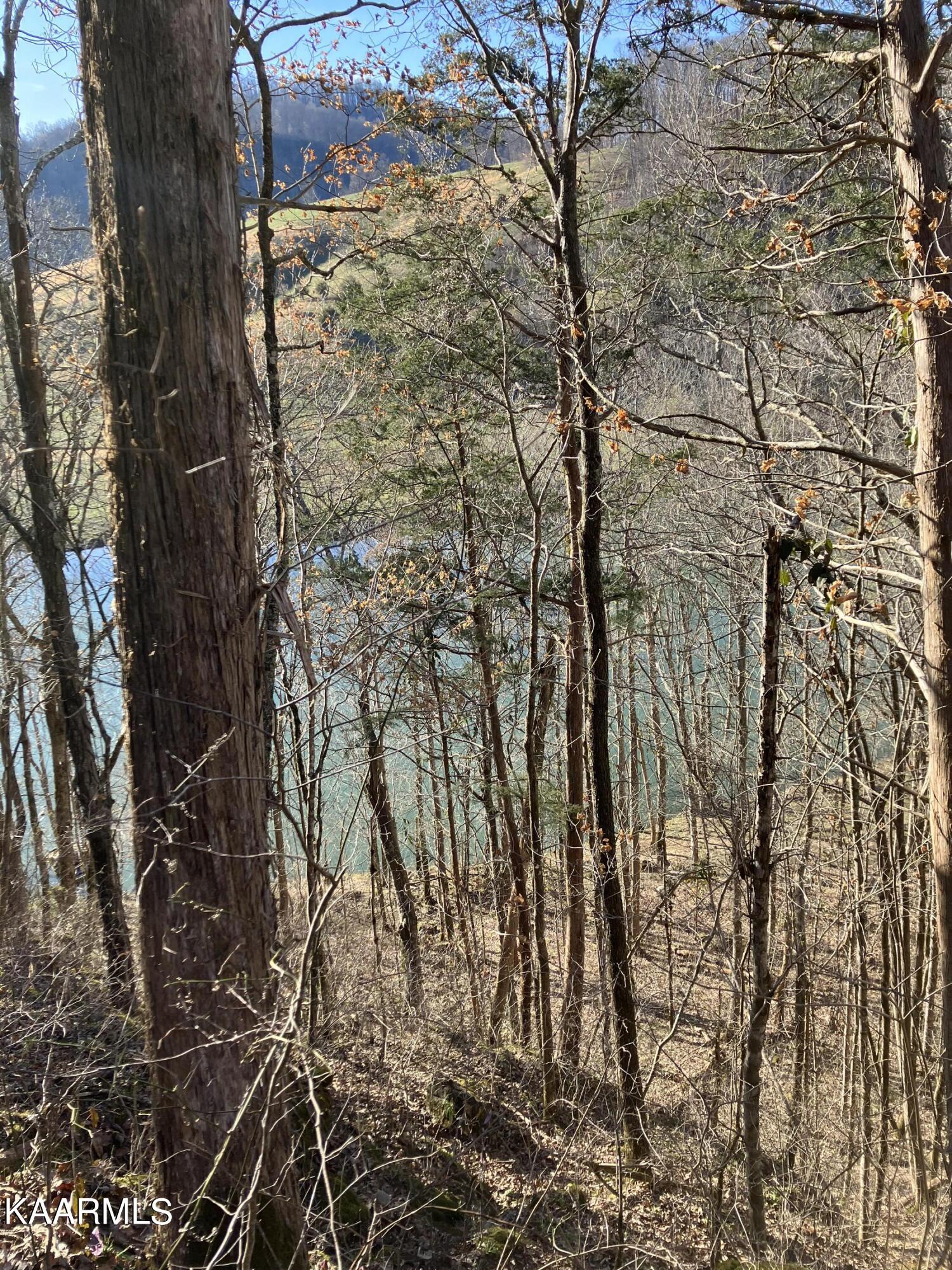 Pawpaw Road Sneedville, TN 37869 - Photo 10 of 16 FC955423-EE42-4B1C-B469-C7F491922A57