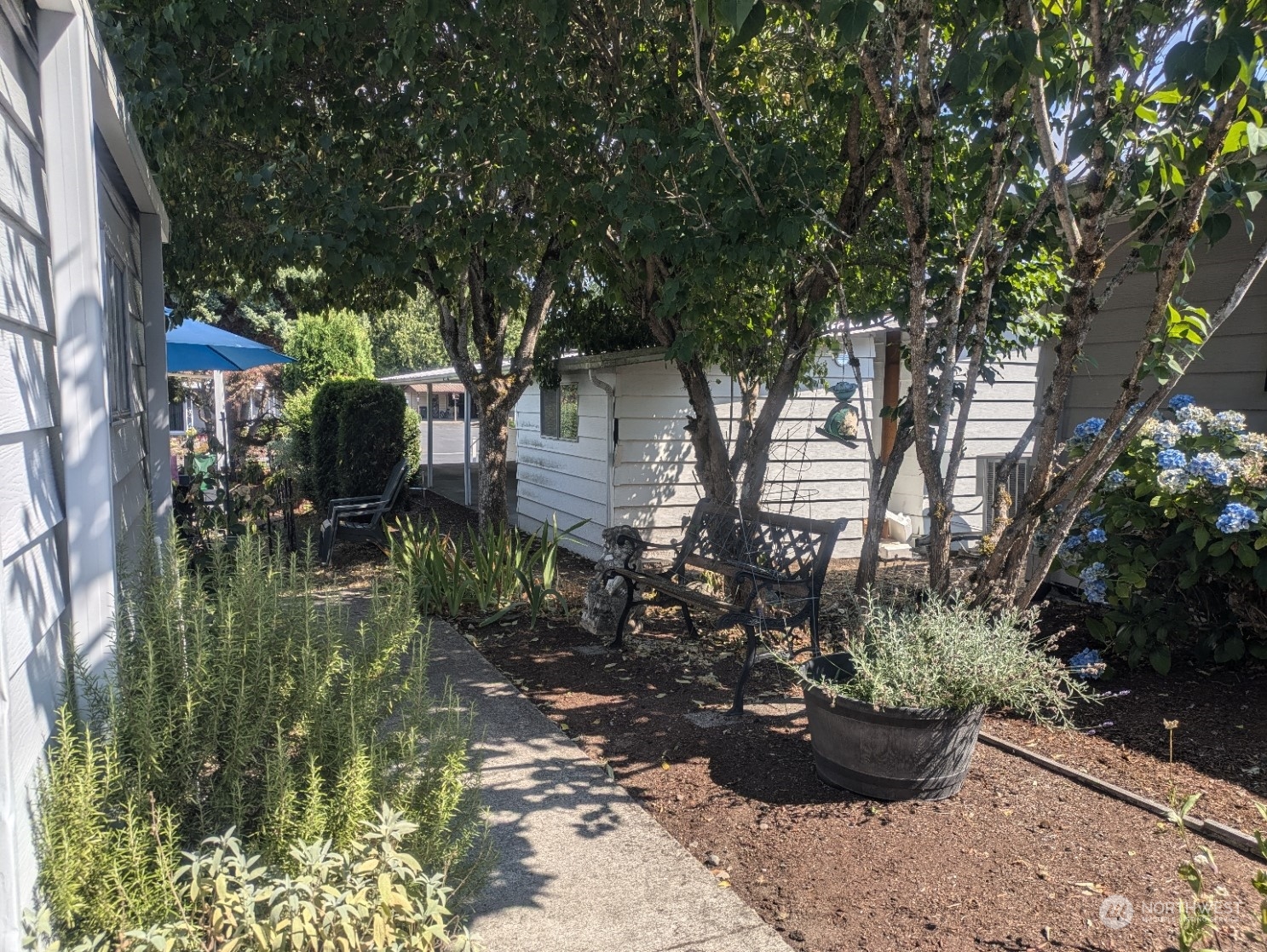 201 Union Avenue Southeast, Unit 104 Renton, WA 98059 - Photo 28 of 36 a view of a backyard with potted plants and large trees