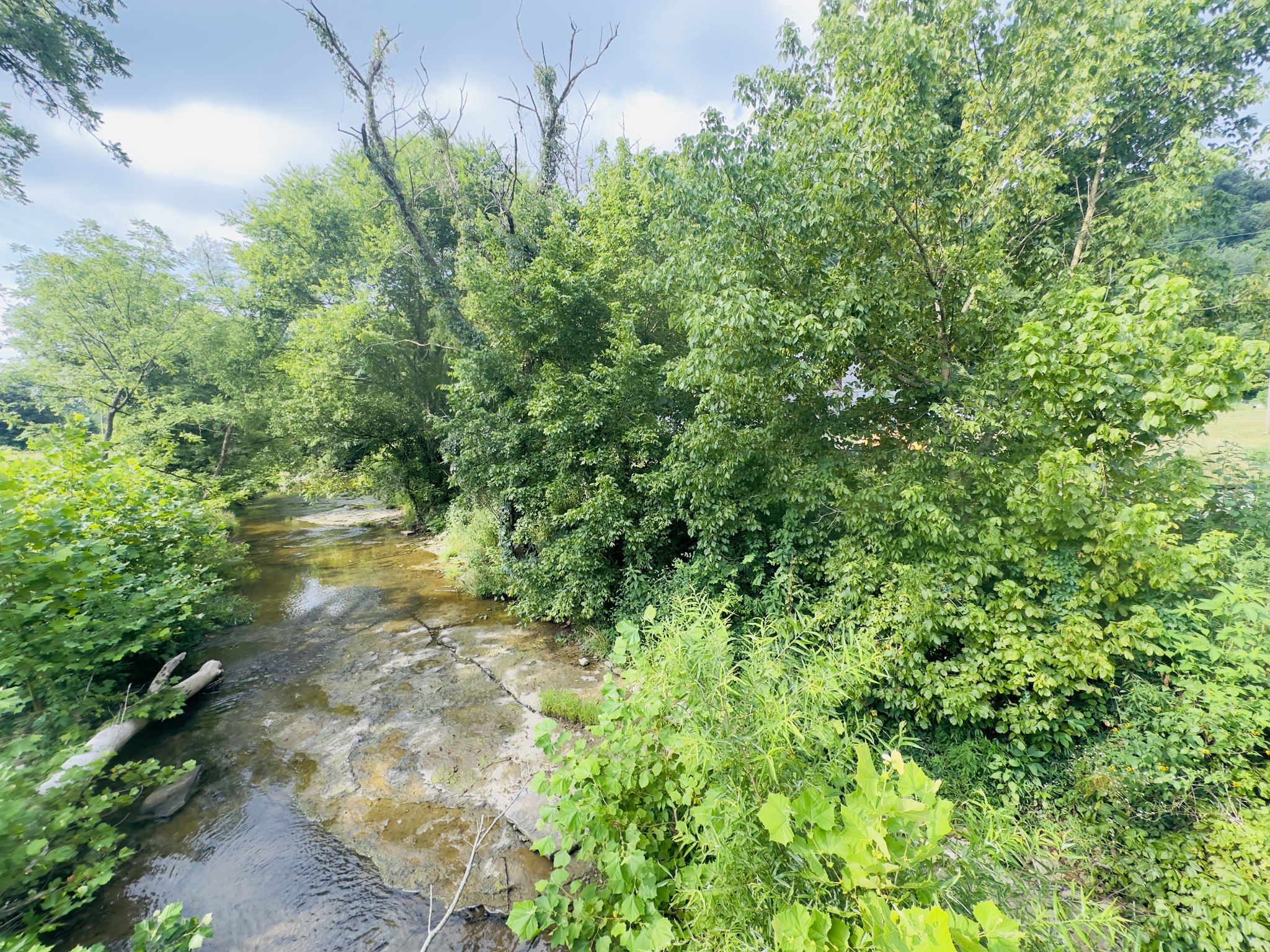 1611 Knob Creek Road Celina, TN 38551 - Photo 20 of 48