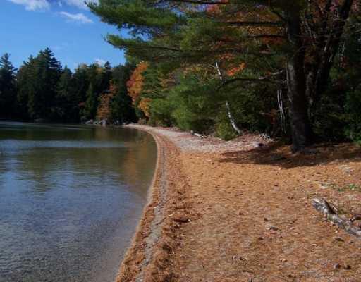 Lot 46 Beech Ridge Road Ellsworth, ME 04605 - Photo 7 of 8 Land.