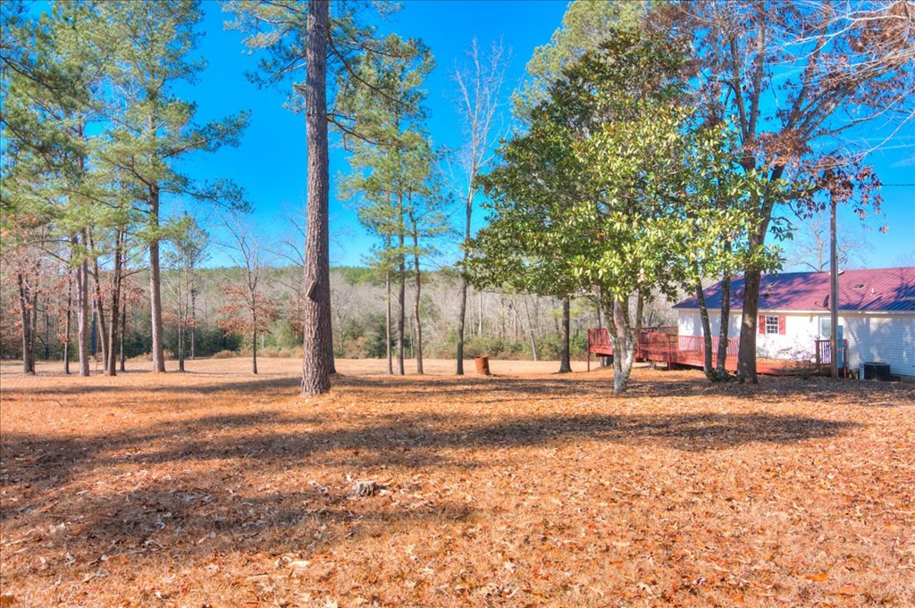 861 Colbert Bridge Road Aiken, SC 29803 - Photo 42 of 52
