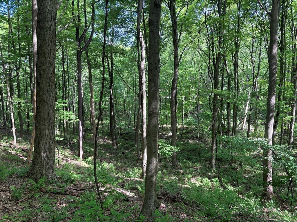 Lot 1 Cottonwood Road Acme, PA 15610 - Photo 5 of 25