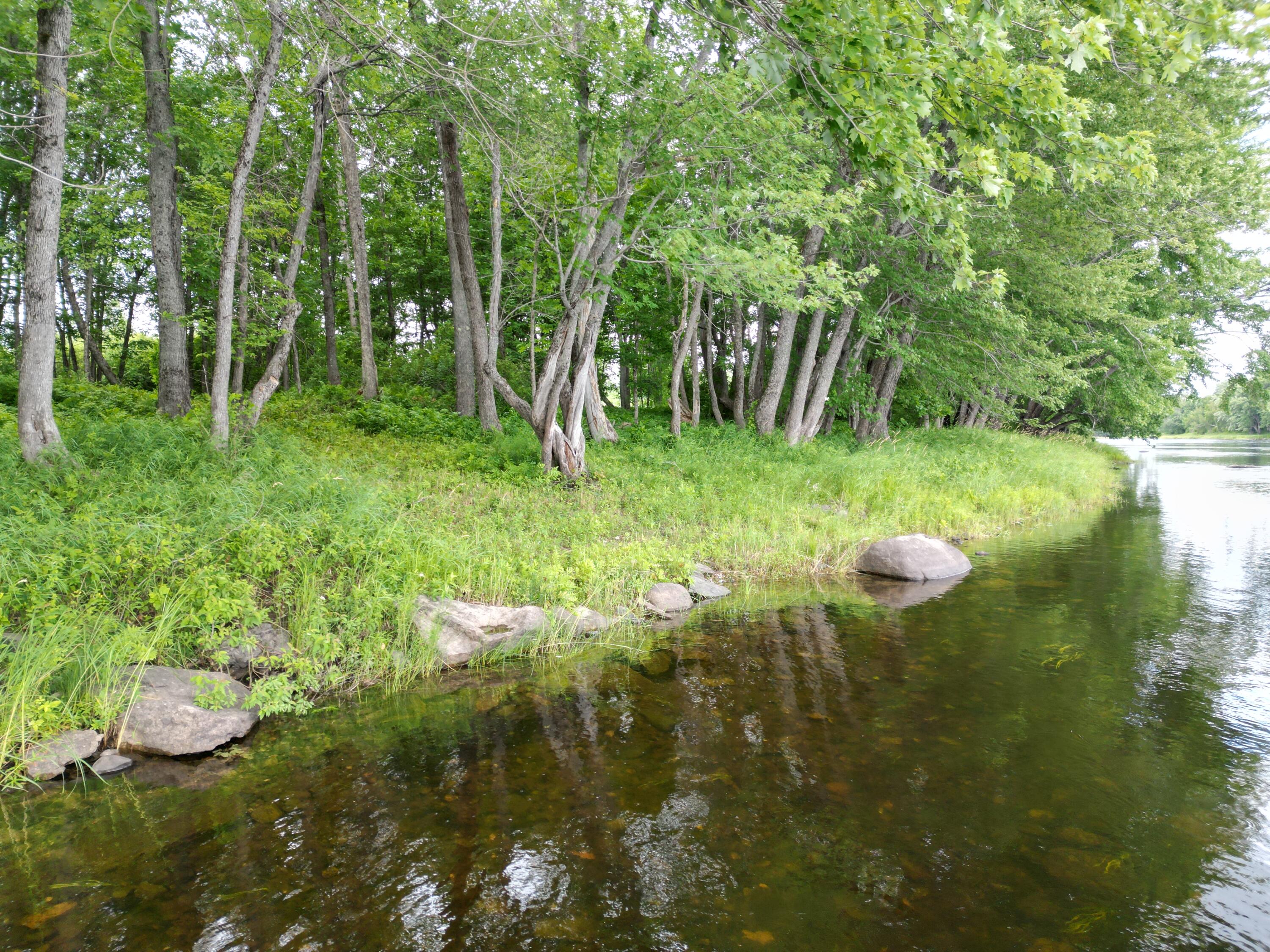 Lot 19 North Chester Road Lincoln, ME 04457 - Photo 1 of 17 DJI_0007