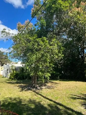 a view of a large yard