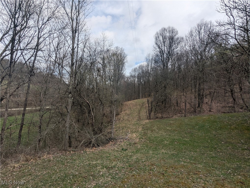 87051 Cramblett Road Scio, OH 43988 - Photo 13 of 25