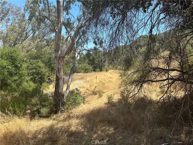 a view of backyard of the house