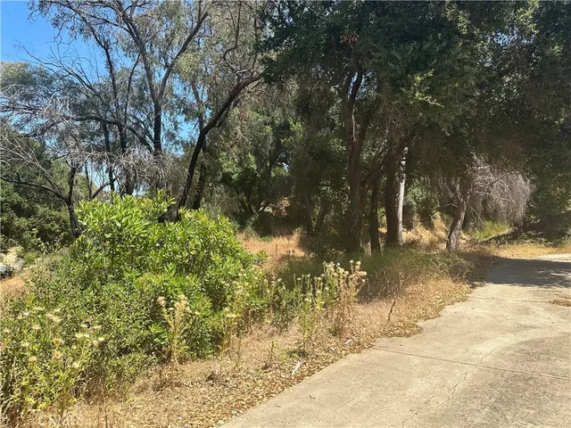 a view of a yard with a tree