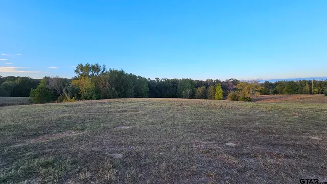 a view of dirt field with trees in the background
