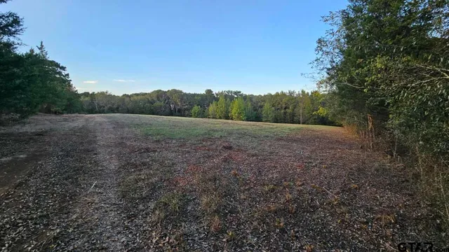 a view of a field with trees in background