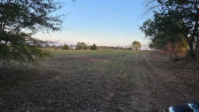 a view of a yard with trees