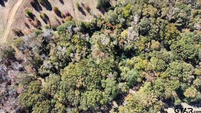 a view of a yard with trees in the background