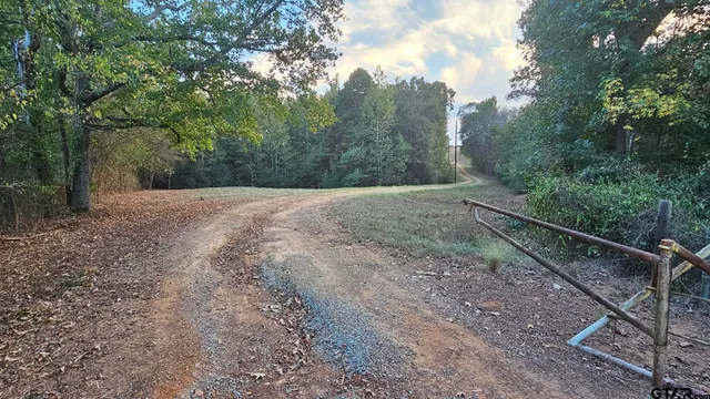 a view of a big yard with trees
