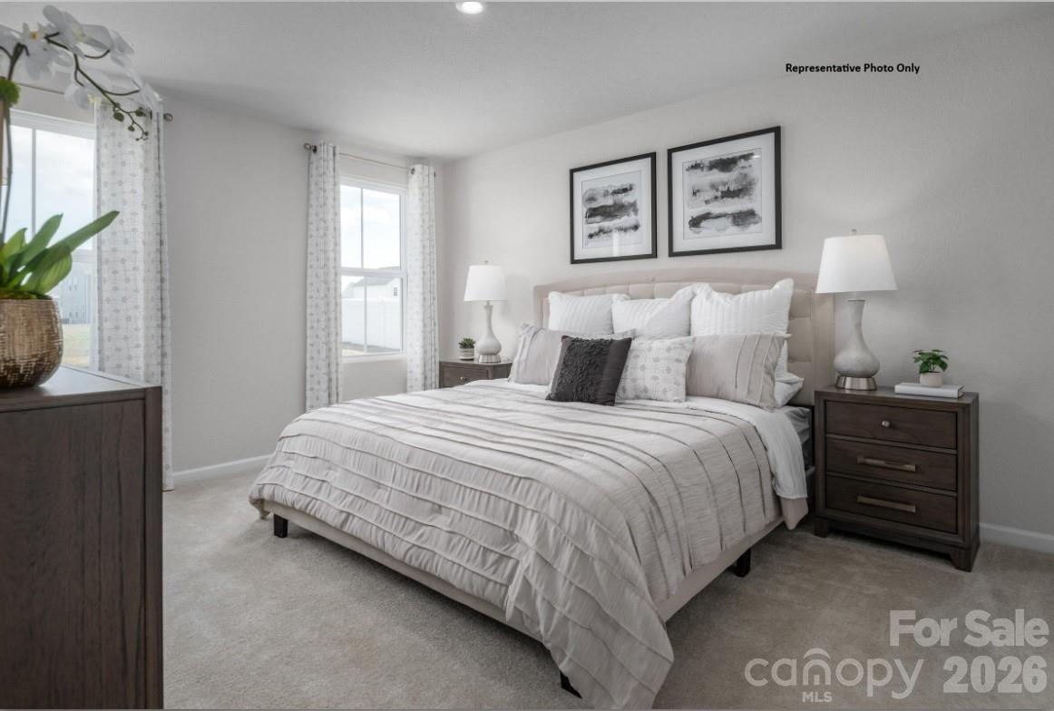 212 Maggys Way Pageland, SC 29728 - Photo 6 of 13