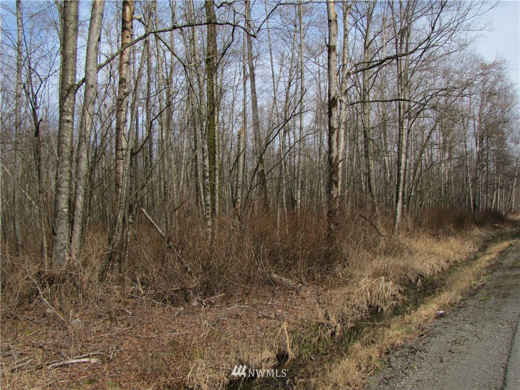 3150 Birch Bay Lynden Road Custer, WA 98240 - Photo 1 of 14
