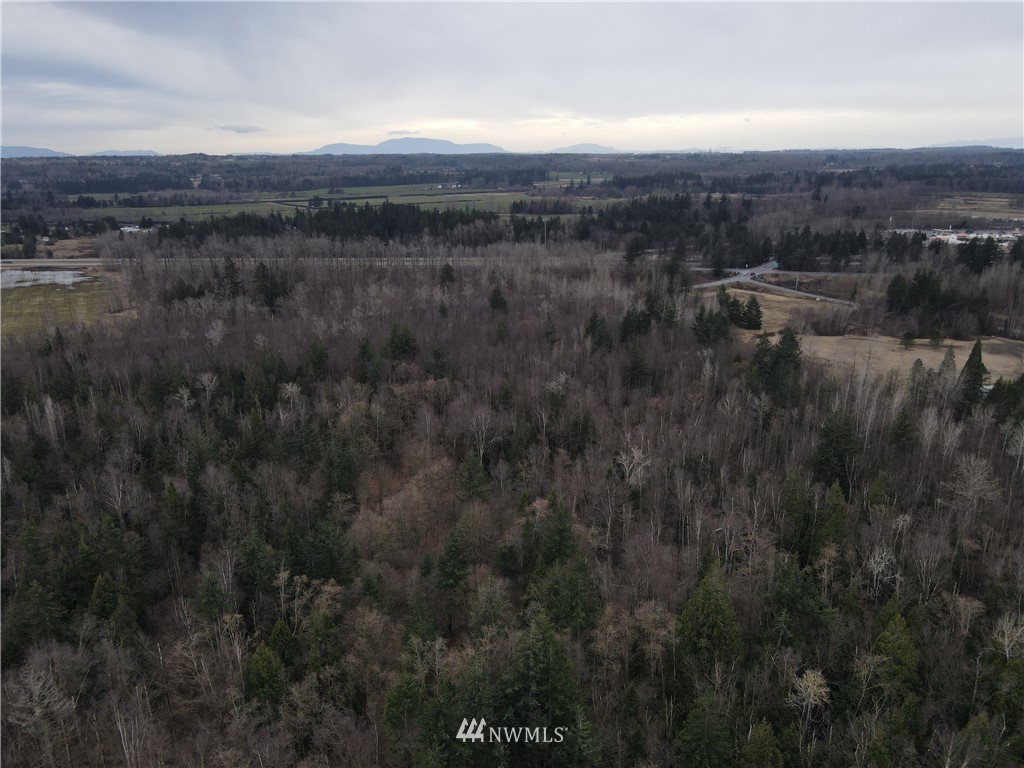 3150 Birch Bay Lynden Road Custer, WA 98240 - Photo 12 of 14