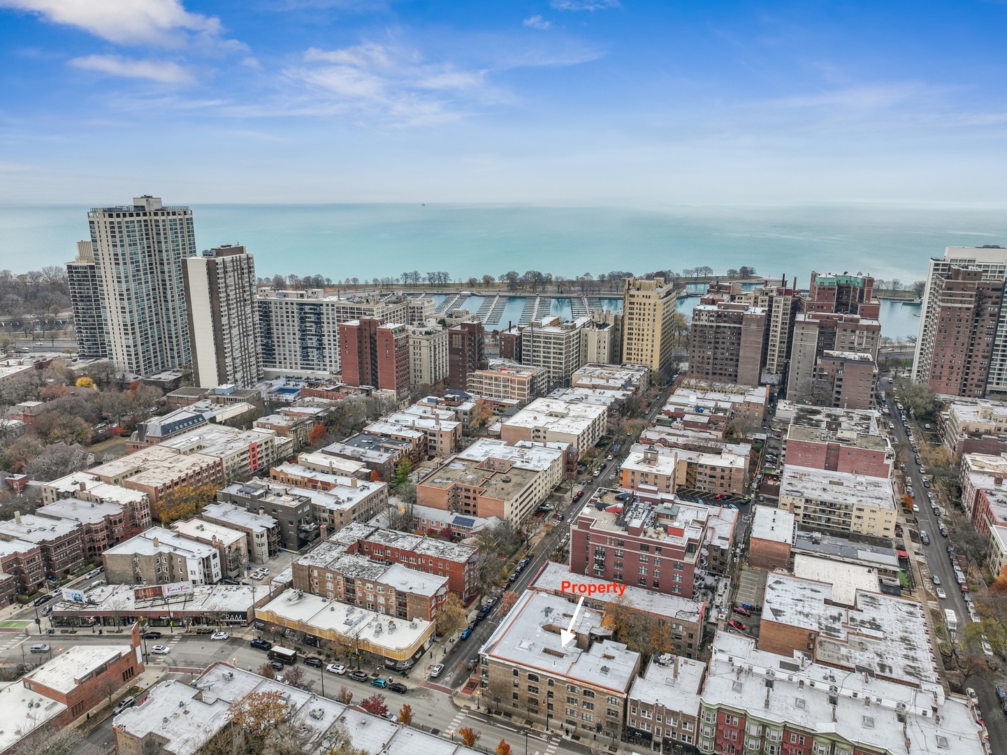559 West Aldine Avenue, Unit 2 Chicago, IL 60657 - Photo 20 of 23 a view of city
