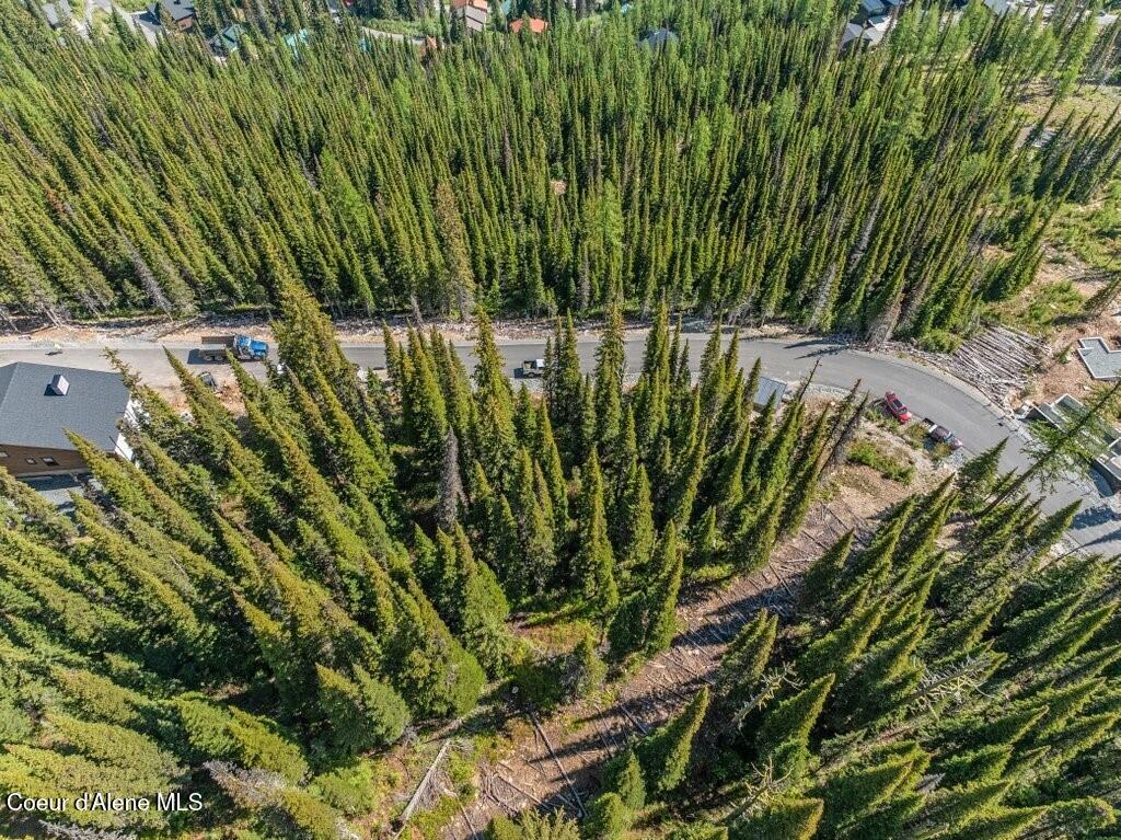 3 L 3 Sandpoint, ID 83864 - Photo 4 of 51 Lot and Ski Corridor