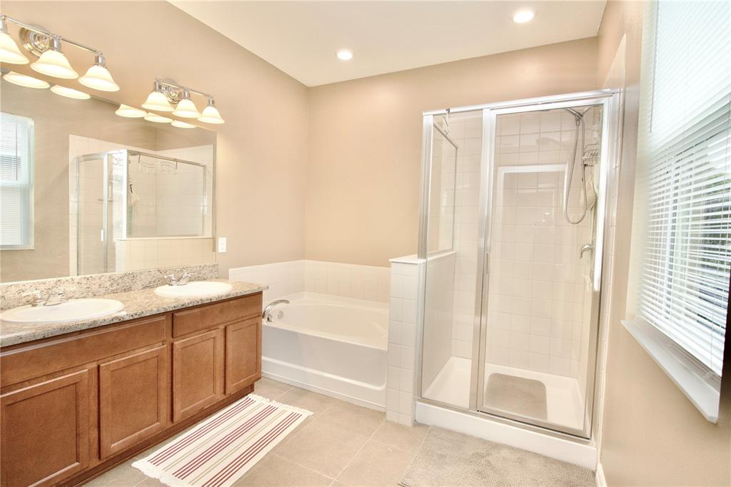 12343 Moss Lake Loop New Port Richey, FL 34655 - Photo 16 of 24 a bathroom with a tub sink and mirror