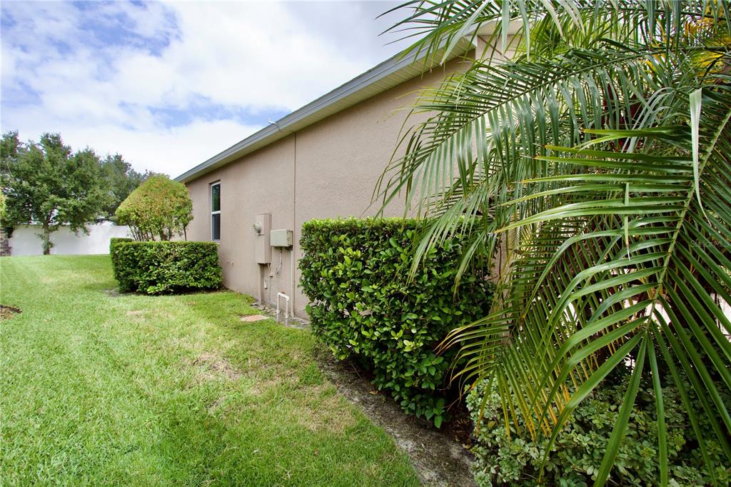 12343 Moss Lake Loop New Port Richey, FL 34655 - Photo 24 of 24 a backyard of a house with lots of green space