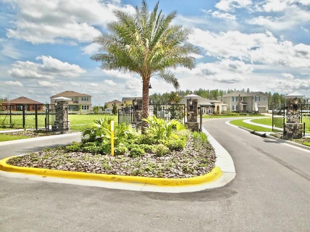 12343 Moss Lake Loop New Port Richey, FL 34655 - Photo 4 of 24 a view of a swimming pool with a lounge chairs