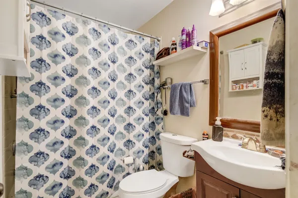 a view of a park with large trees