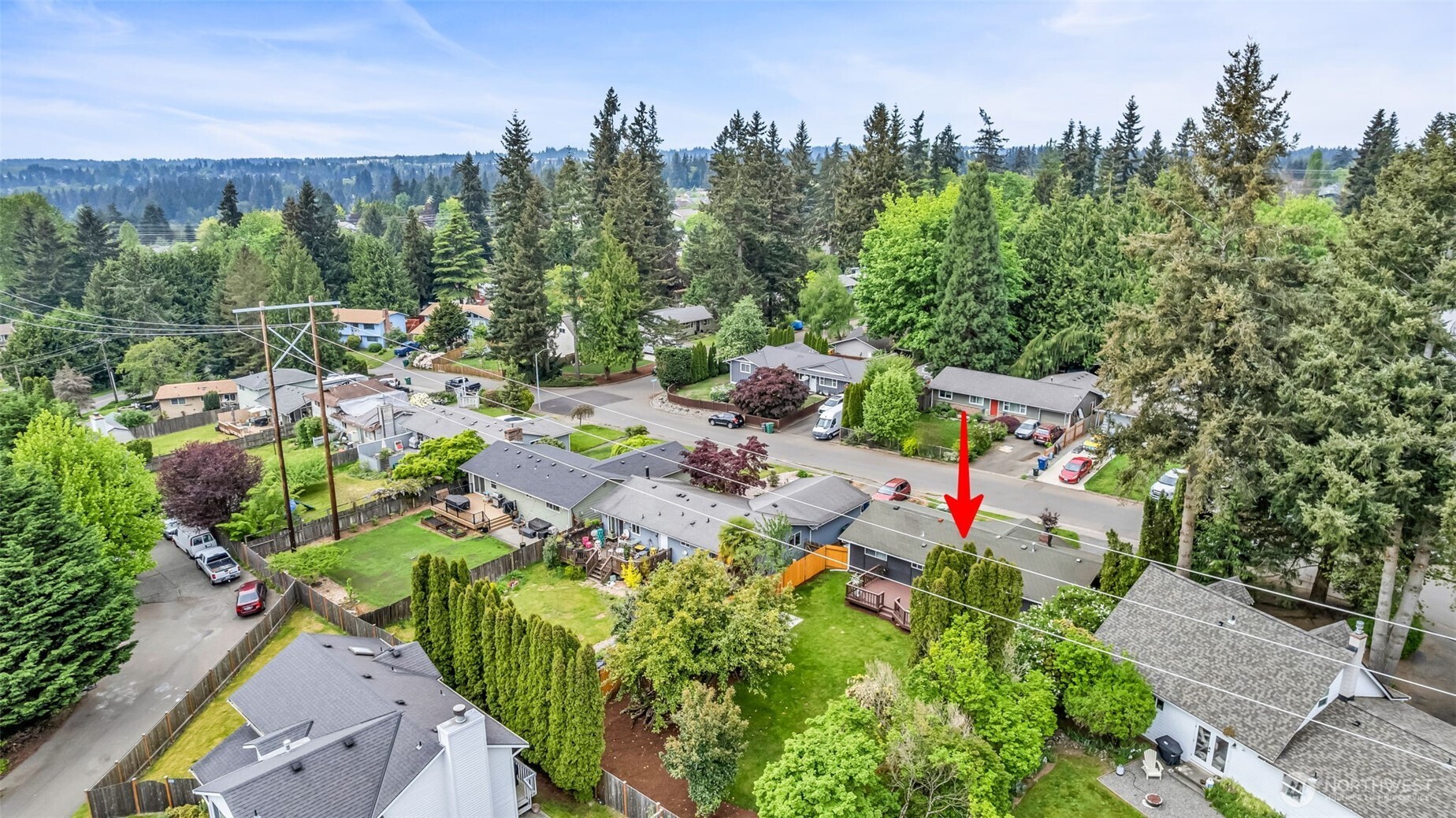 616 212th Street Southwest Bothell, WA 98021 - Photo 28 of 28 a picture of trees