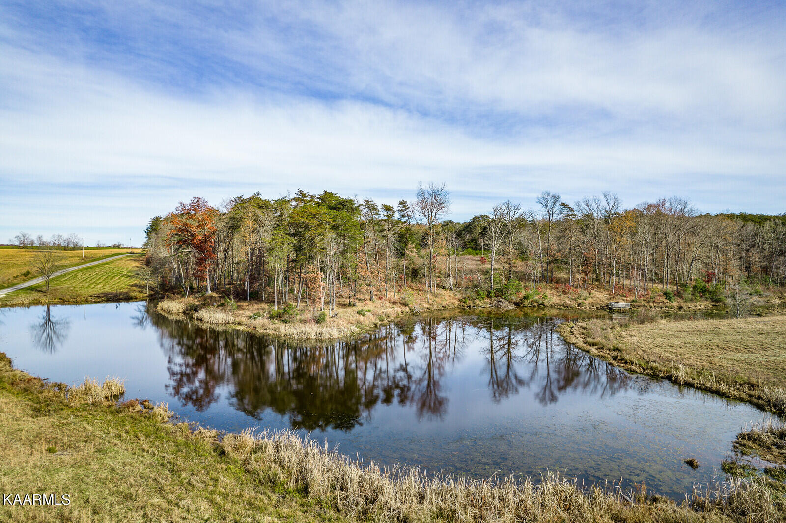 14.6-ac 14.6-ac Brodio Road Deer Lodge, TN 37726 - Photo 11 of 21 34_DJI_0412_HDR_mls