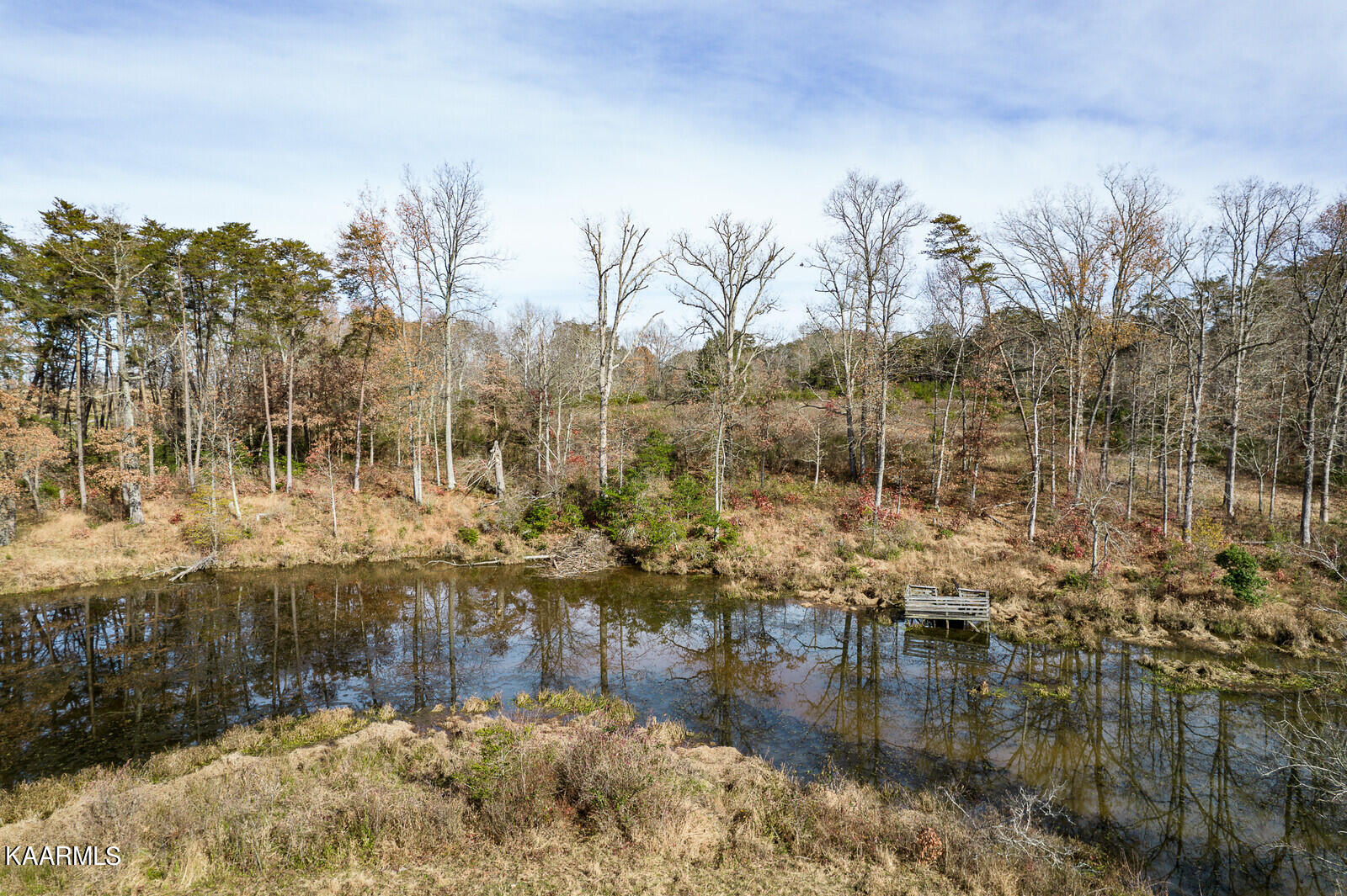 14.6-ac 14.6-ac Brodio Road Deer Lodge, TN 37726 - Photo 12 of 21 35_DJI_0417_mls