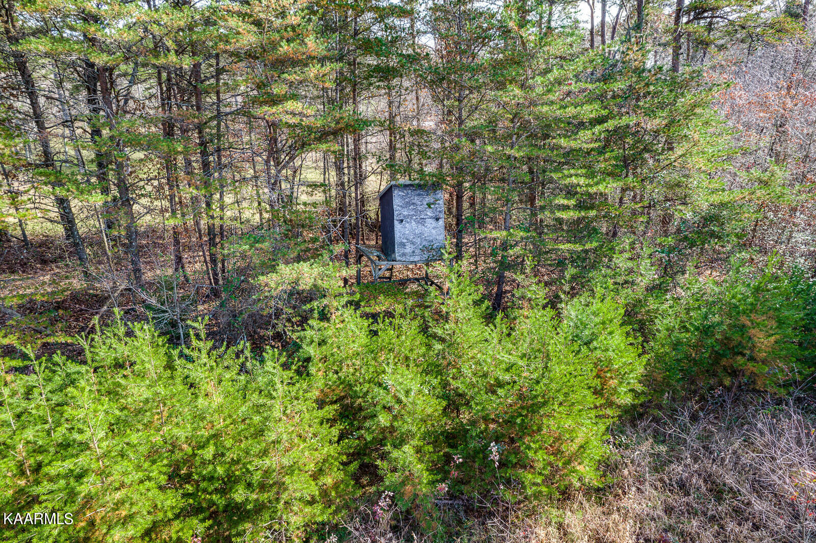 14.6-ac 14.6-ac Brodio Road Deer Lodge, TN 37726 - Photo 14 of 21 37_DJI_0427_HDR_mls