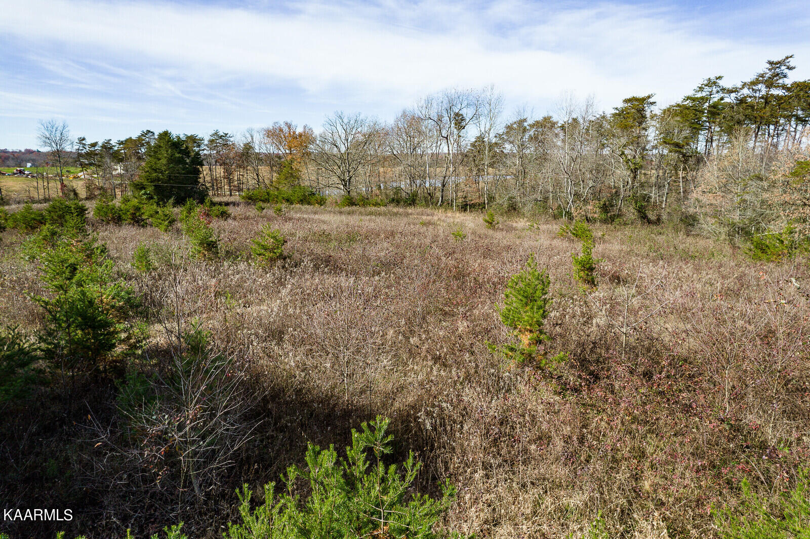 14.6-ac 14.6-ac Brodio Road Deer Lodge, TN 37726 - Photo 15 of 21 38_DJI_0450_mls