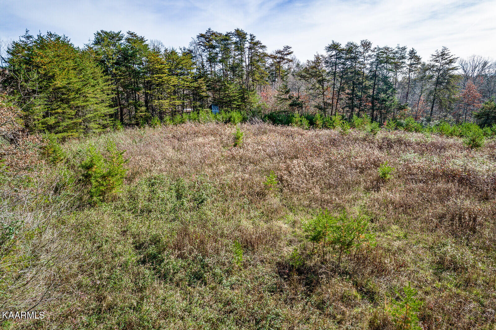 14.6-ac 14.6-ac Brodio Road Deer Lodge, TN 37726 - Photo 16 of 21 39_DJI_0457_HDR_mls