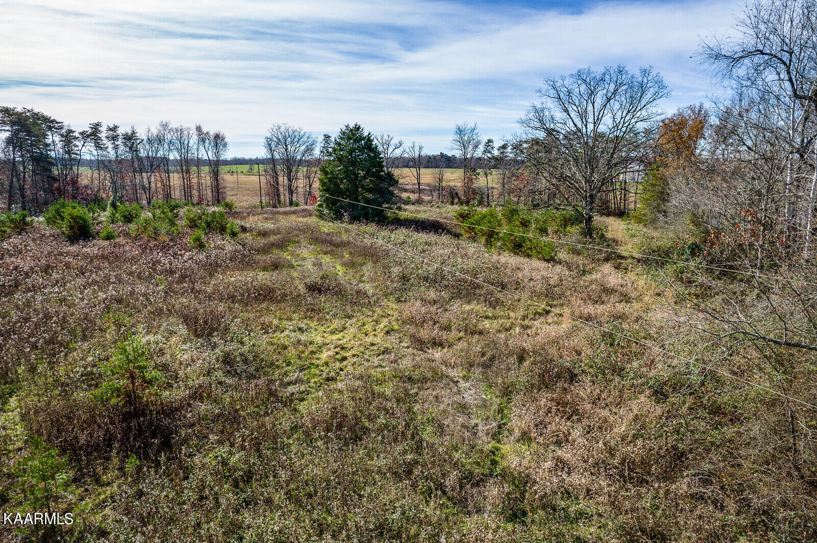 14.6-ac 14.6-ac Brodio Road Deer Lodge, TN 37726 - Photo 17 of 21 40_DJI_0467_HDR_mls