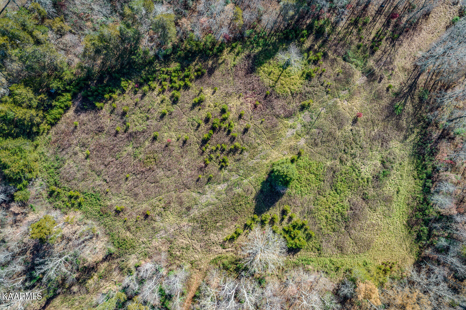 14.6-ac 14.6-ac Brodio Road Deer Lodge, TN 37726 - Photo 18 of 21 41_DJI_0470_HDR_mls