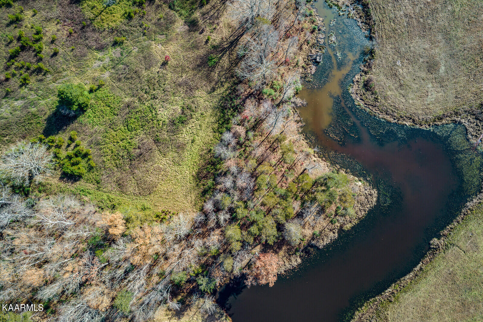 14.6-ac 14.6-ac Brodio Road Deer Lodge, TN 37726 - Photo 20 of 21 43_DJI_0478_HDR_mls