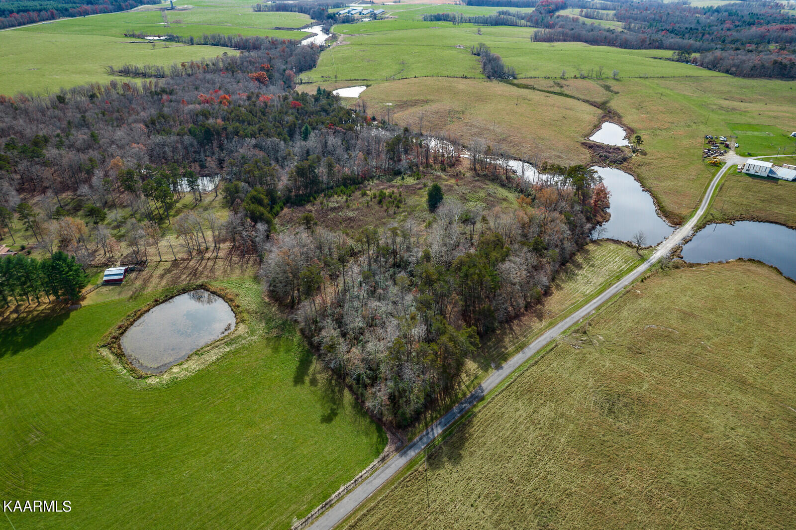 14.6-ac 14.6-ac Brodio Road Deer Lodge, TN 37726 - Photo 3 of 21 26_DJI_0365_HDR_mls