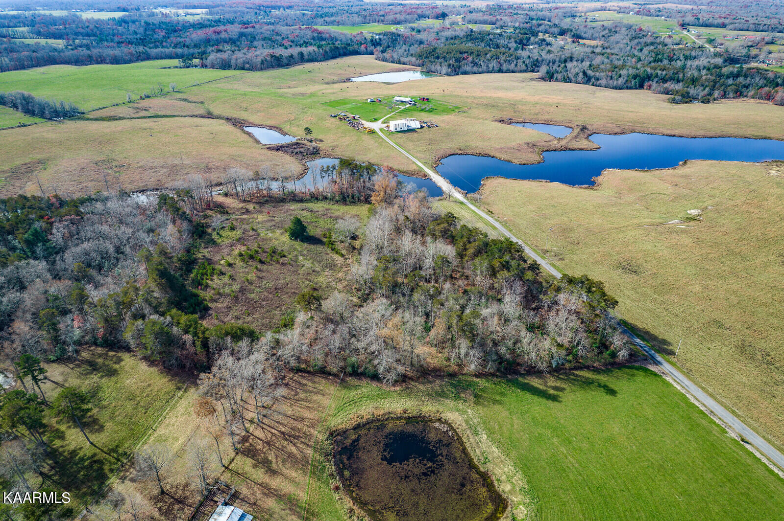 14.6-ac 14.6-ac Brodio Road Deer Lodge, TN 37726 - Photo 4 of 21 27_DJI_0375_HDR_mls