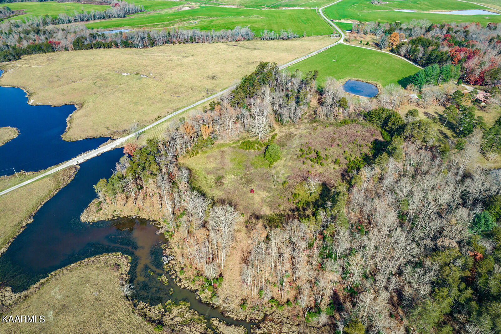 14.6-ac 14.6-ac Brodio Road Deer Lodge, TN 37726 - Photo 6 of 21 29_DJI_0387_HDR_mls