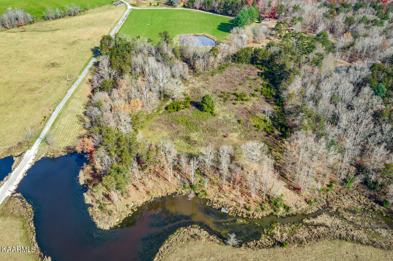 14.6-ac 14.6-ac Brodio Road Deer Lodge, TN 37726 - Photo 8 of 21 31_DJI_0395_HDR_mls