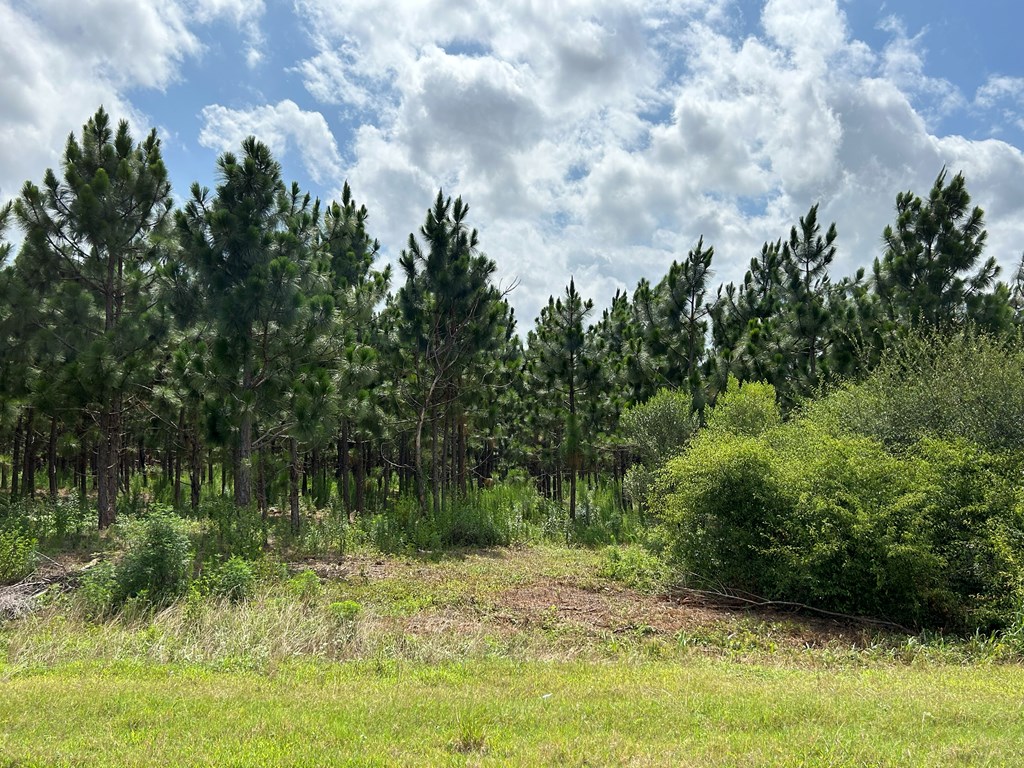 75/ Nuclear Plant Road Columbia, AL 36319 - Photo 17 of 34