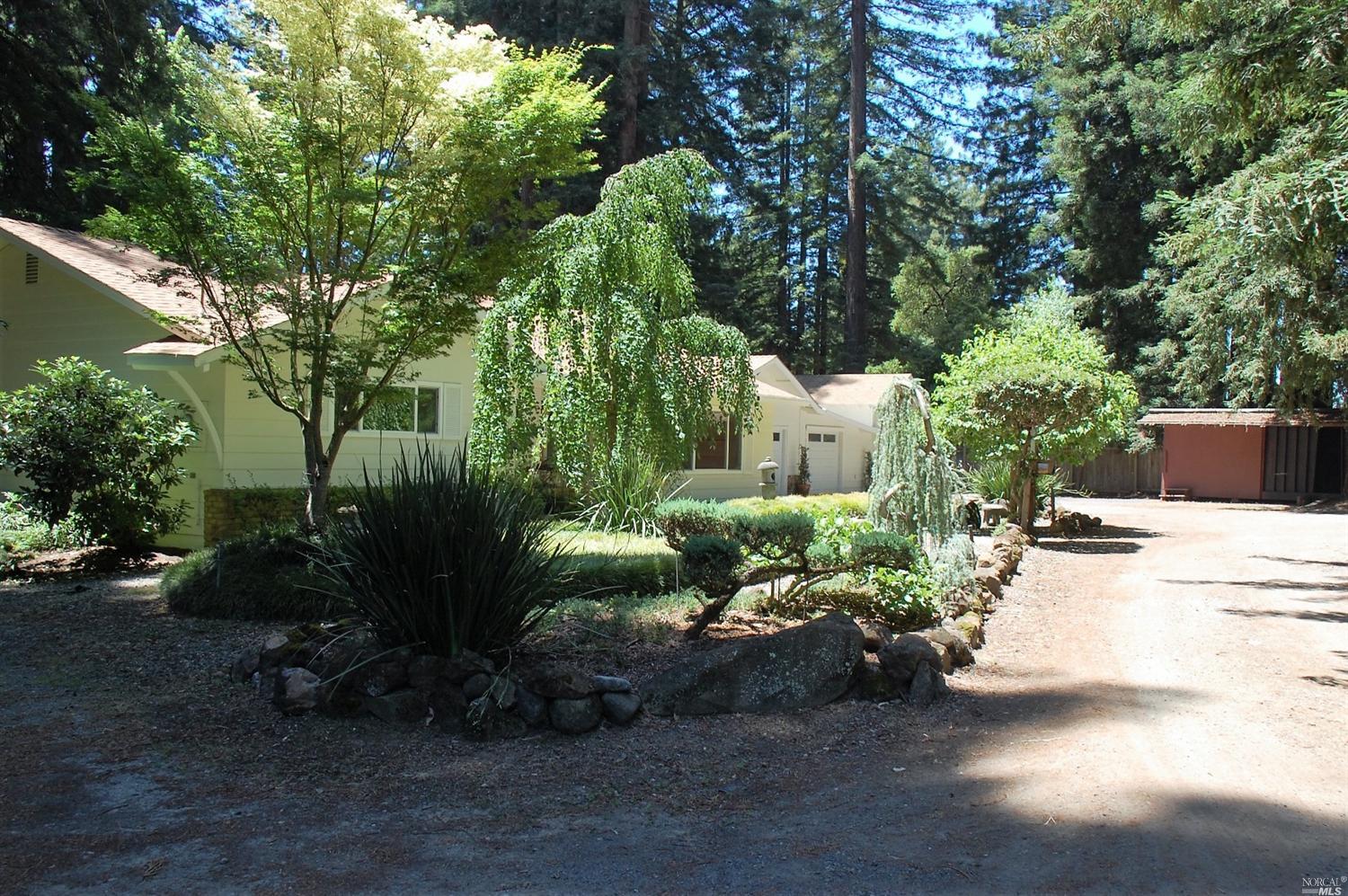 14105 Occidental Road Sebastopol, CA 95472 - Photo 1 of 1 a view of a garden with plants and large trees